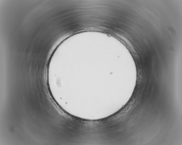 X0000111380804200908211338