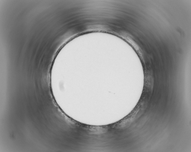 X0000111380807200908211338