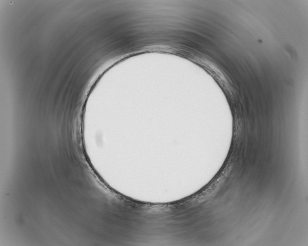 X0000111380808200908211338