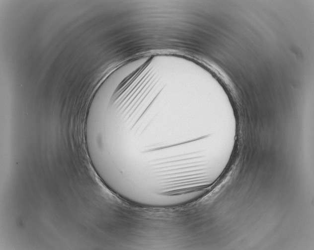 X0000111380809200908211338