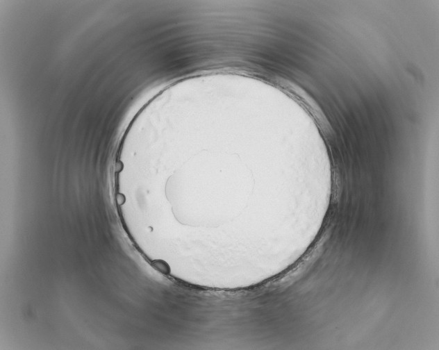 X0000111380812200908211338