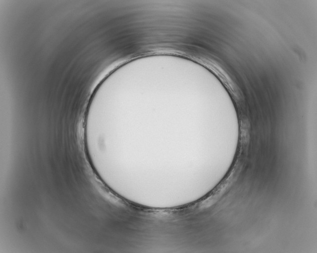 X0000111380814200908211338