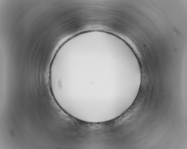 X0000111380815200908211338