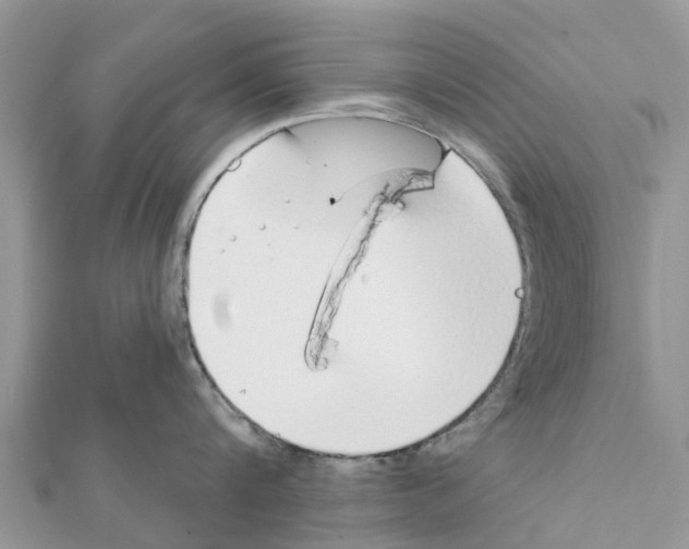 X0000111380816200908211338