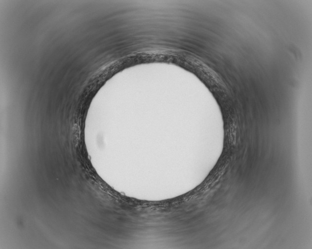 X0000111380821200908211338