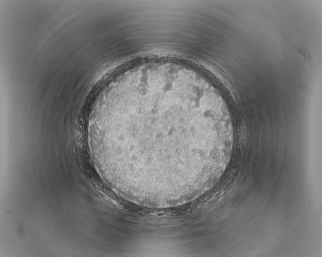 X0000111380823200908211338