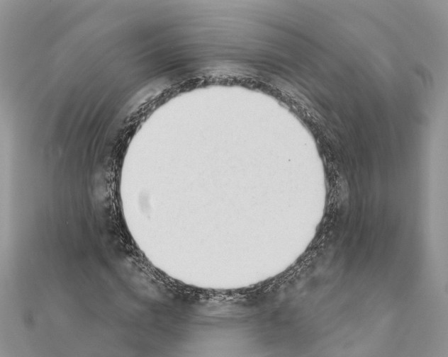 X0000111380824200908211338