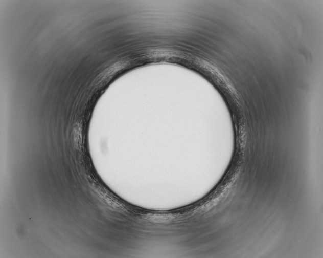 X0000111380825200908211338