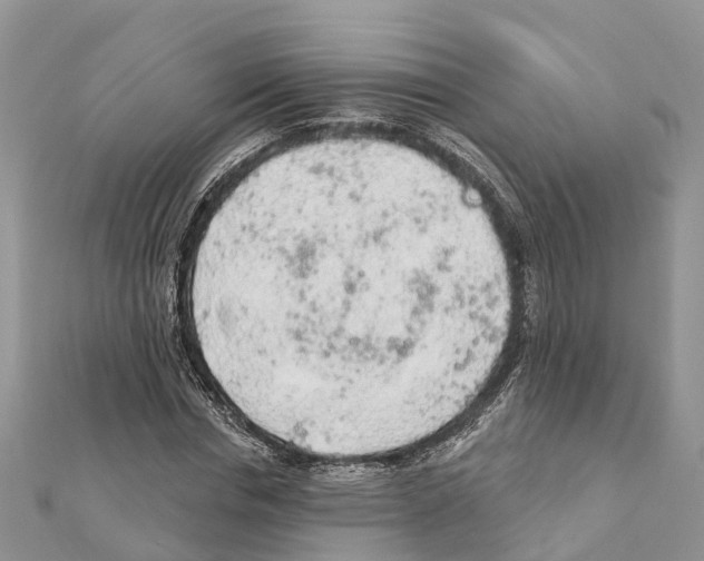 X0000111380826200908211338