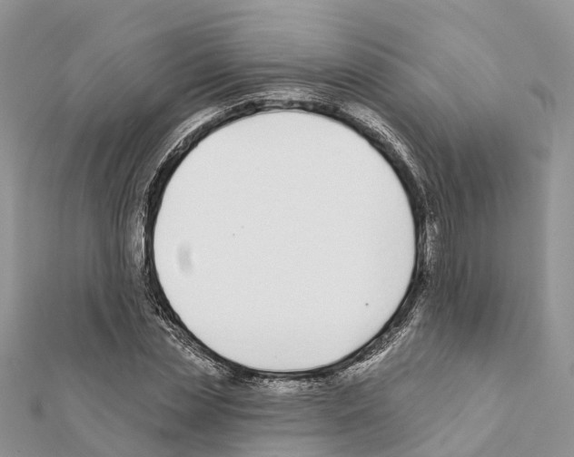 X0000111380829200908211338