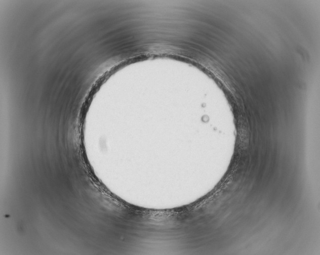 X0000111380832200908211338