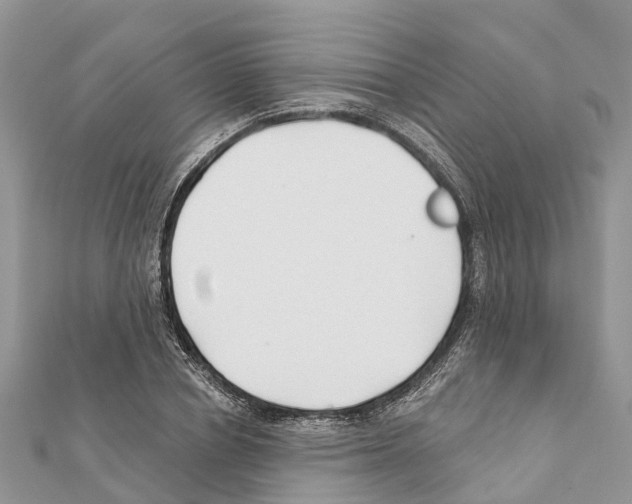 X0000111380834200908211338