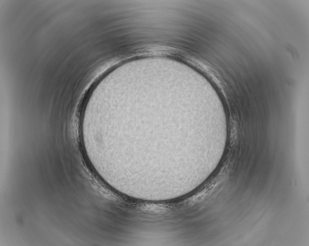 X0000111380835200908211338