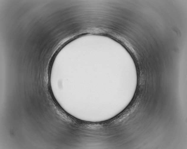 X0000111380837200908211338