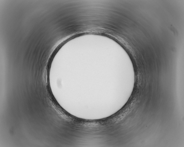 X0000111380838200908211338