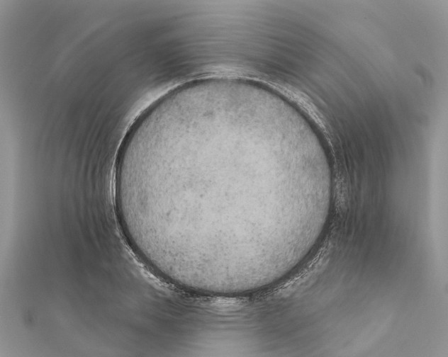 X0000111380839200908211338