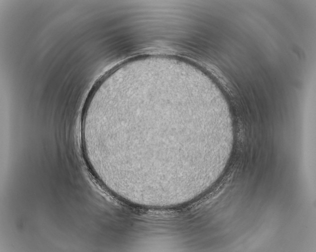 X0000111380840200908211338