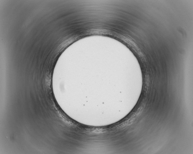 X0000111380841200908211338