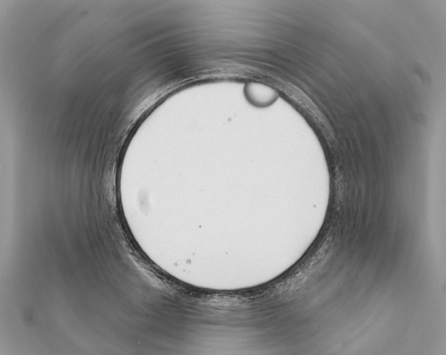 X0000111380842200908211338