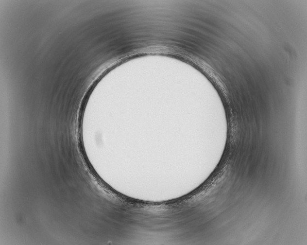 X0000111380845200908211338