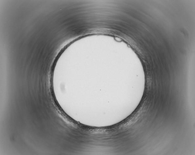 X0000111380846200908211338