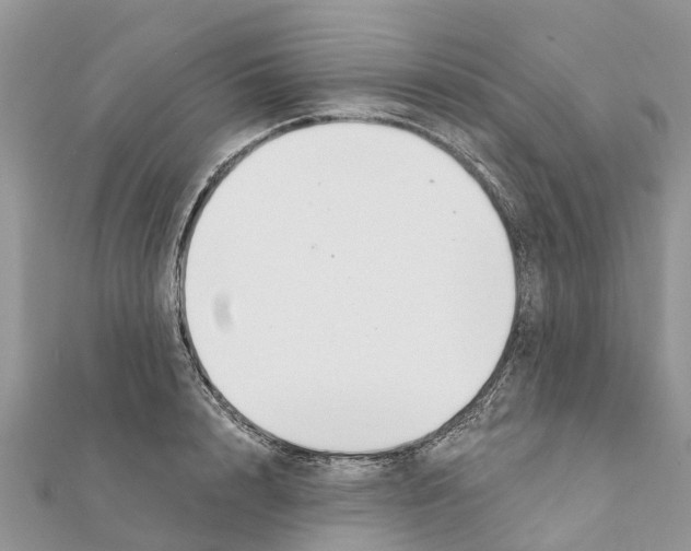 X0000111380848200908211338