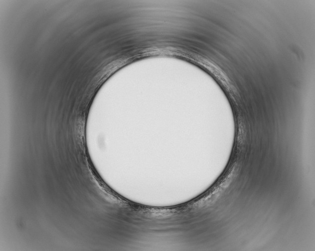 X0000111380849200908211338