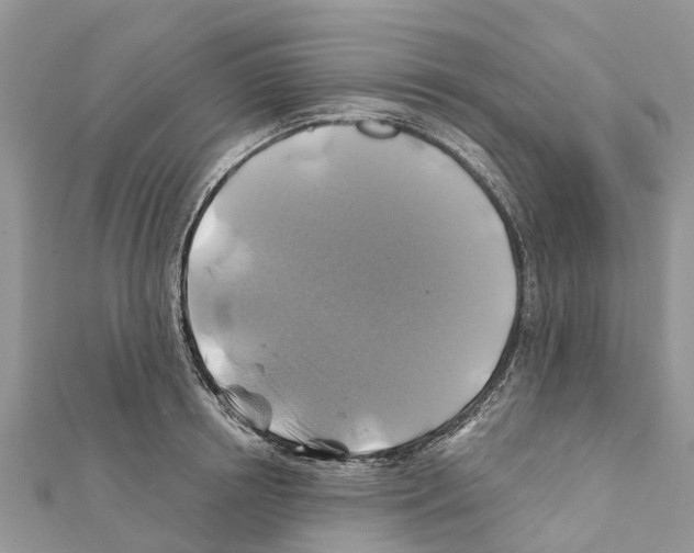 X0000111380850200908211338