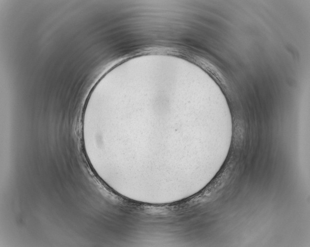 X0000111380852200908211338