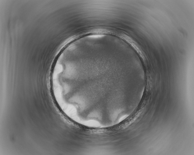 X0000111380853200908211338