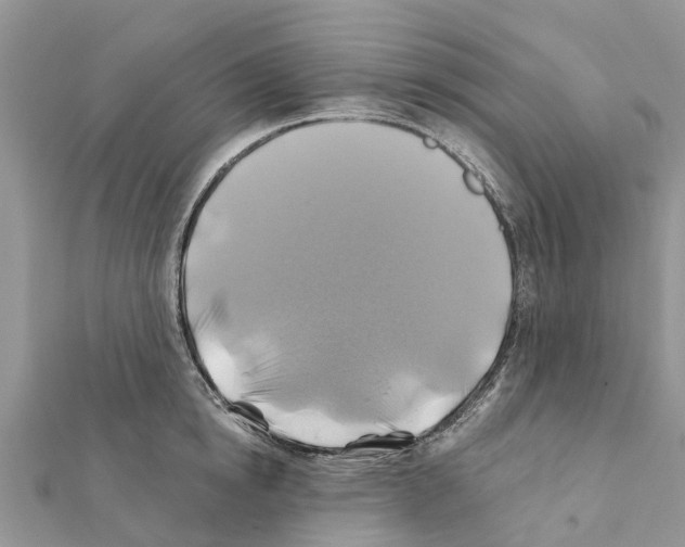 X0000111380854200908211338