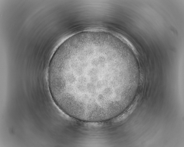 X0000111380855200908211338