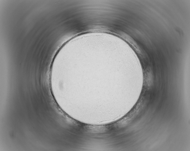 X0000111380856200908211338