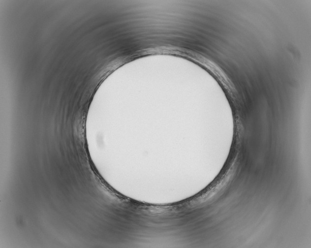 X0000111380857200908211338