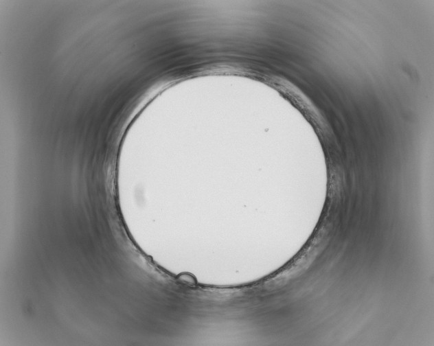 X0000111380860200908211338