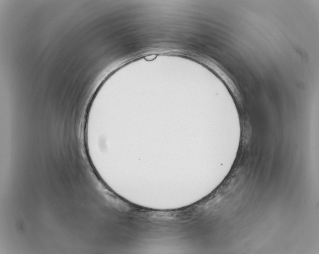 X0000111380861200908211338