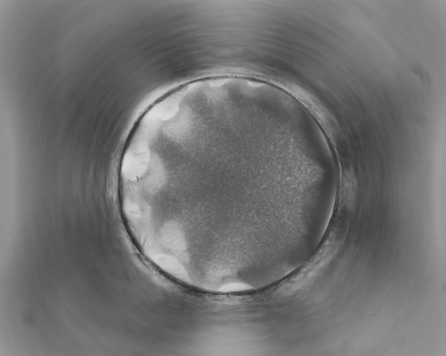 X0000111380862200908211338