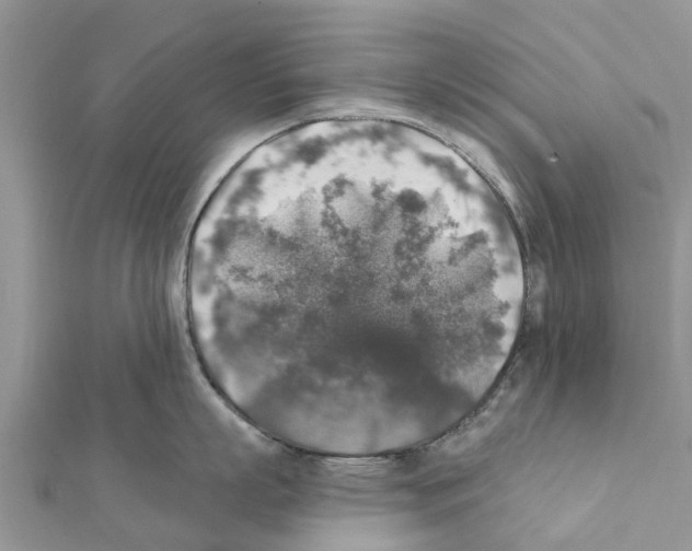 X0000111380863200908211338