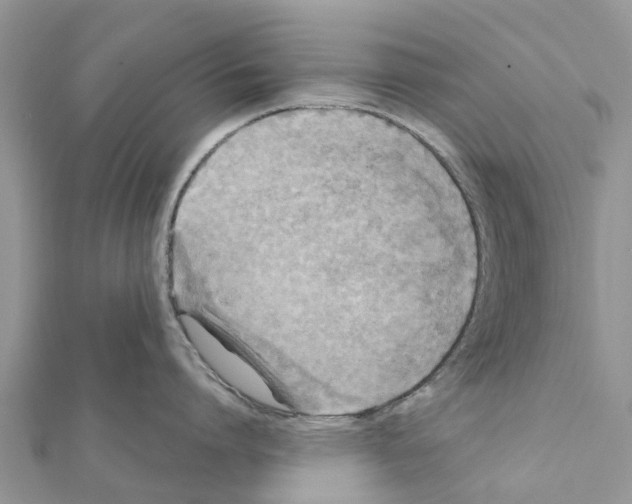 X0000111380864200908211338