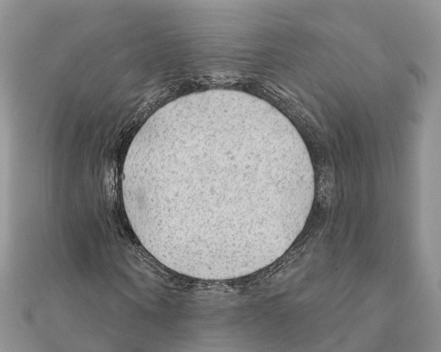 X0000111380866200908211338