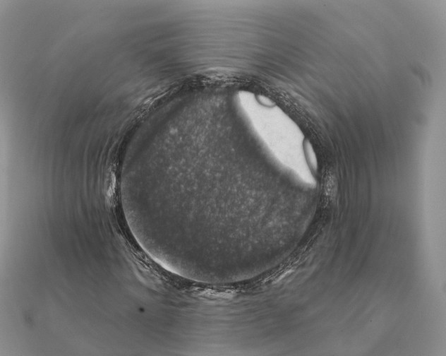 X0000111380868200908211337