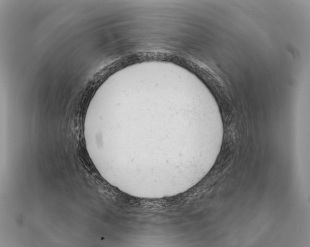 X0000111380870200908211337