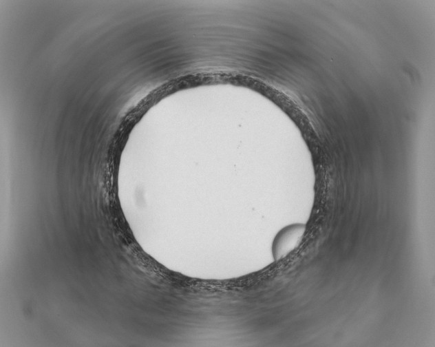 X0000111380871200908211337