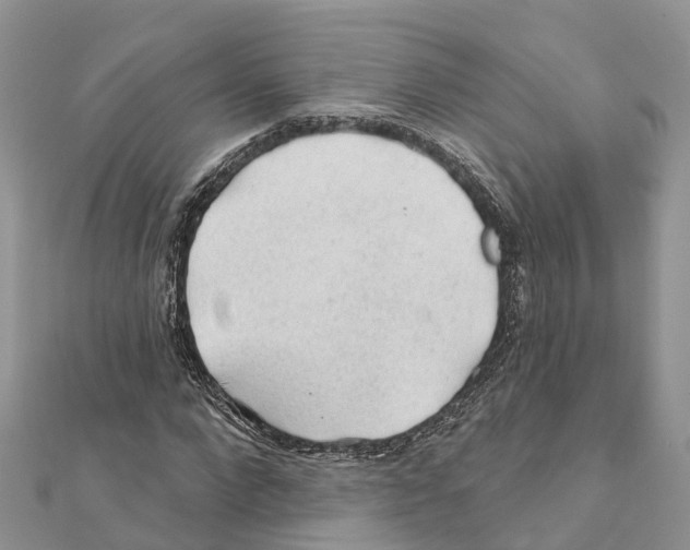 X0000111380872200908211337