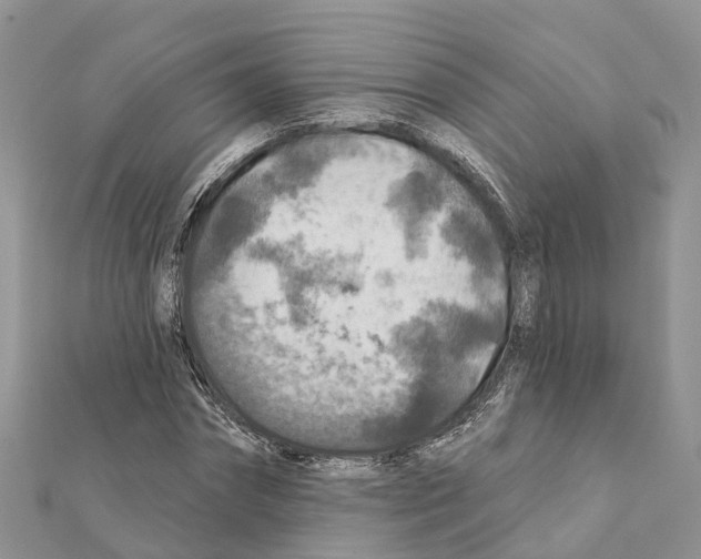 X0000111380874200908211337