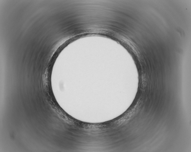 X0000111380875200908211337