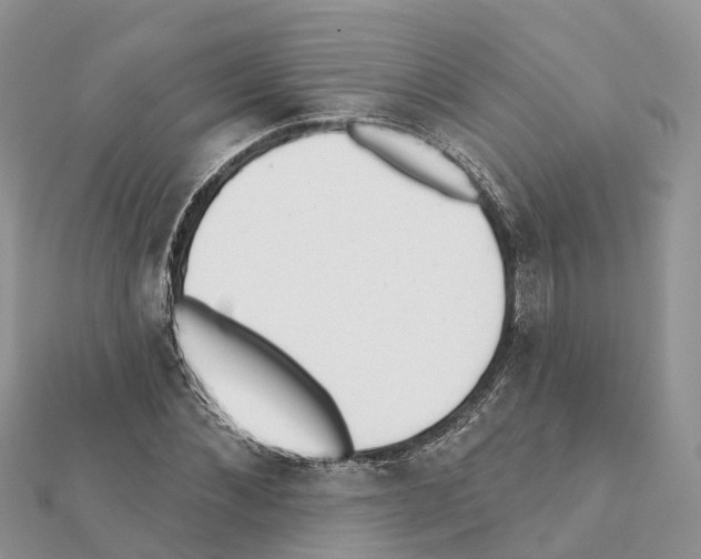 X0000111380876200908211337