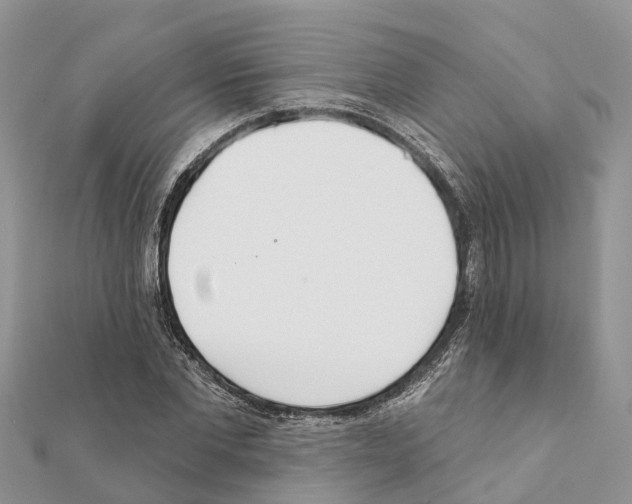 X0000111380877200908211337