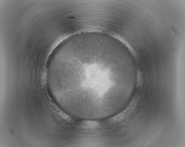 X0000111380878200908211337