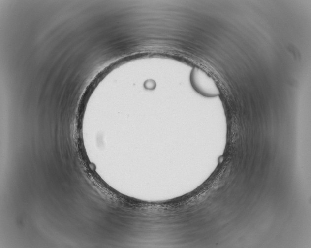 X0000111380880200908211337